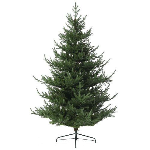 BRAD ARTIFICIAL 240 CM REAL CHRISTMAS TREE