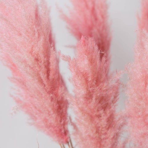 PAMPAS NATURAL PINK FLAMINGO 150 CM