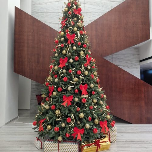 INCHIRIERE BRAD 5 M DECORATIUNI CATIFEA RED GOLD