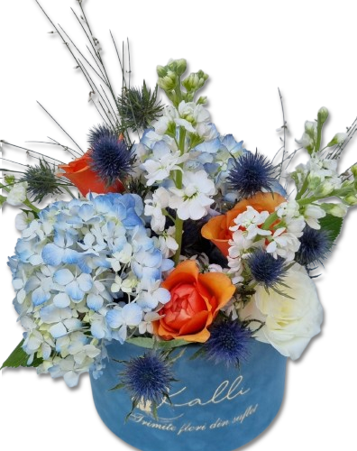 ARANJAMENT FLORAL IN CUTIE CATIFEA COCKTAIL