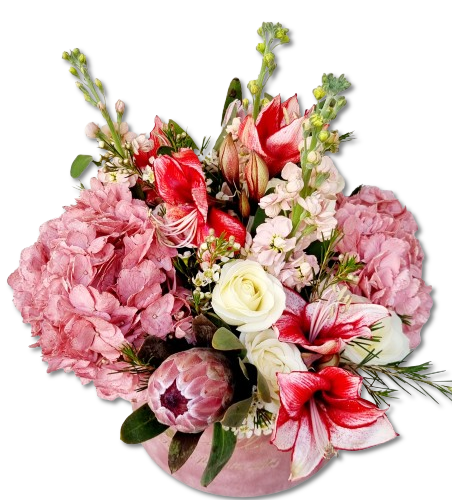 ARANJAMENT FLORAL IN CUTIE CATIFEA GRANDEZZA