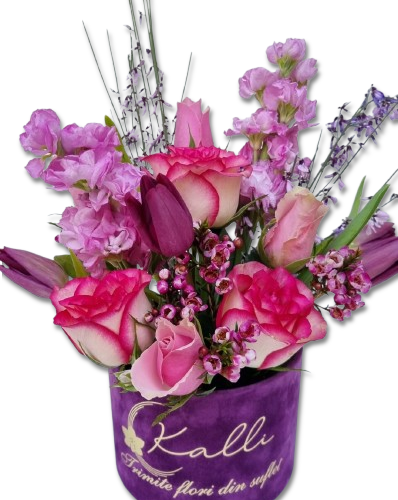 ARANJAMENT FLORAL IN CUTIE CATIFEA LITTLE PURPLE