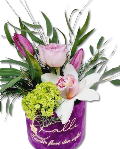 ARANJAMENT FLORAL IN CUTIE CATIFEA PURPLE GREEN