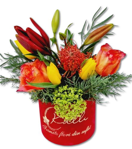ARANJAMENT FLORAL IN CUTIE CATIFEA RED STAR