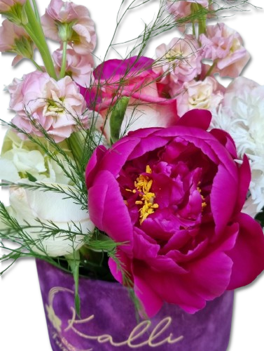 ARANJAMENT FLORAL IN CUTIE CATIFEA PERFECT PEONY