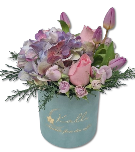 ARANJAMENT FLORAL IN CUTIE CATIFEA PURPLE POWDER