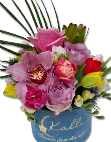 ARANJAMENT FLORAL IN CUTIE CATIFEA SOMBRERO