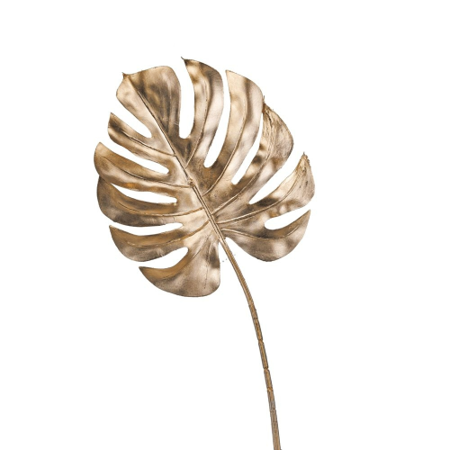 FRUNZA AURIE MONSTERA 73 CM
