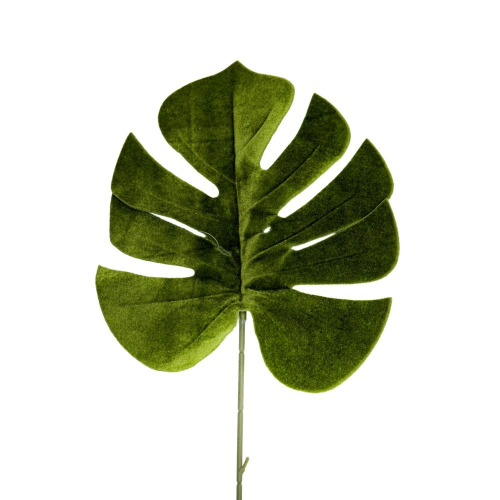 FRUNZA CATIFEA VERDE MONSTERA 65 CM