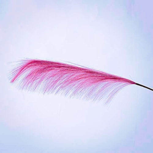 PANA ROZ PUDRA 80 CM